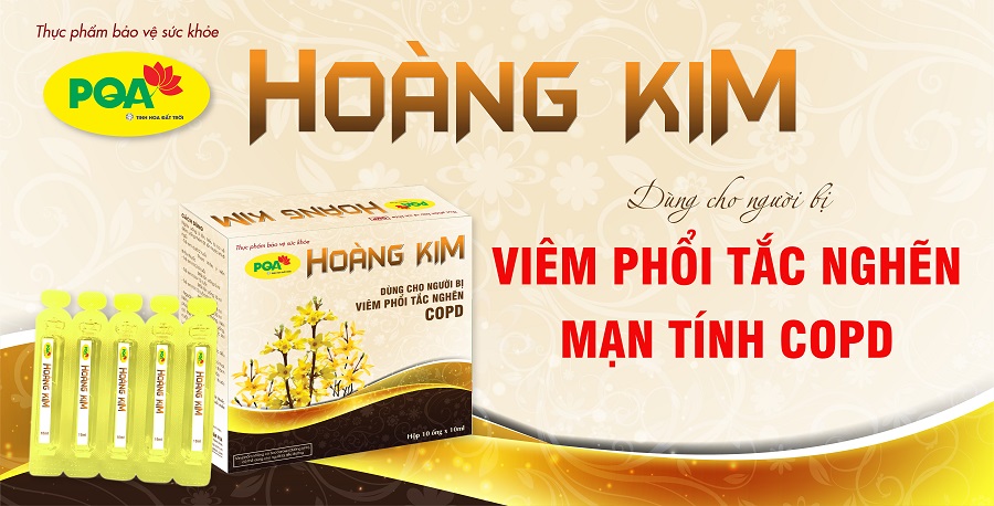 PQA Hoàng Kim 2023