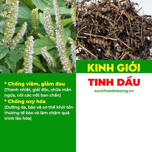 Thành phần Kim ngân phong 4