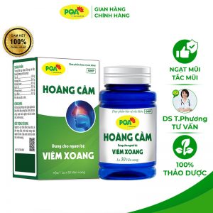PQA Hoàng cầm