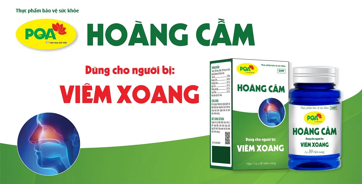 PQA Hoàng cầm VN