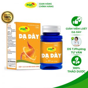 PQA Dạ dày VN