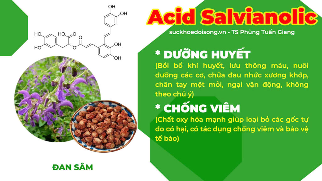 Thành phần PQA Phòng phong 1
