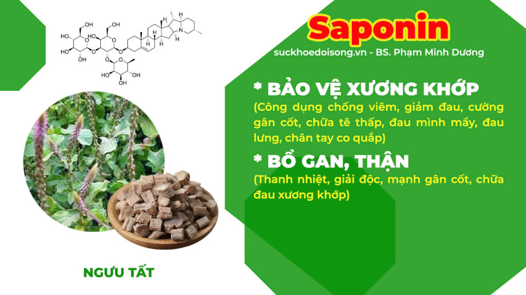 Thành phần PQA Phòng phong 2