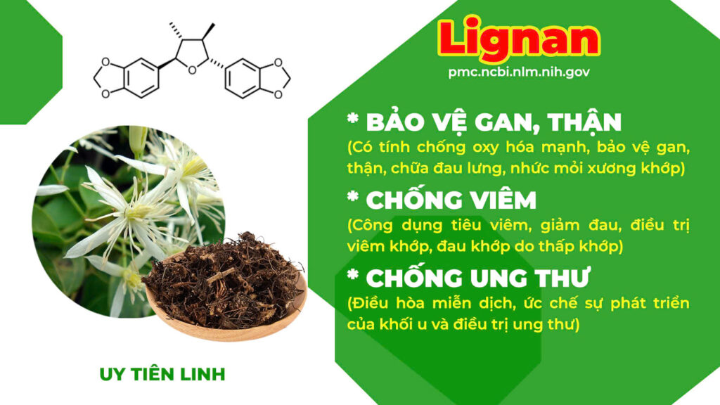 Thành phần PQA Phòng phong 3
