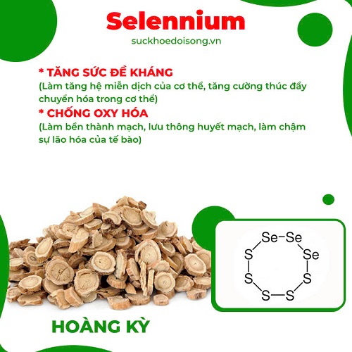 Thành phần PQA thập toàn đại bổ 1