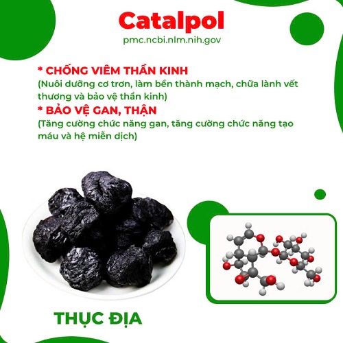 Thành phần PQA thập toàn đại bổ 2