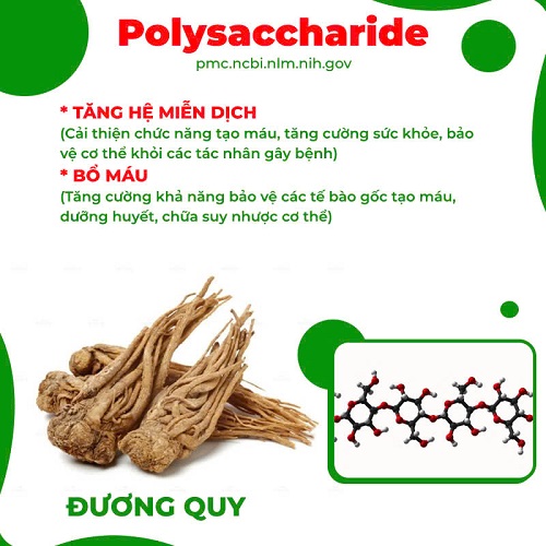 Thành phần PQA thập toàn đại bổ 4