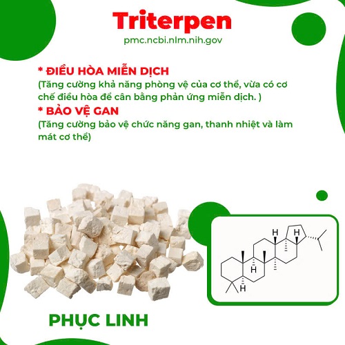 Thành phần PQA thập toàn đại bổ 5