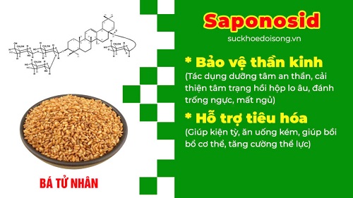 Thành phần bổ thần kinh PQA 3