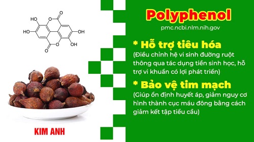 Thành phần bổ thần kinh PQA 6