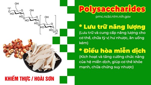 Thành phần bổ thần kinh PQA 5
