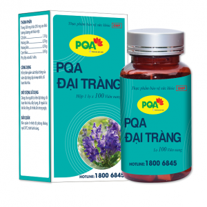 PQA Đại tràng 100v