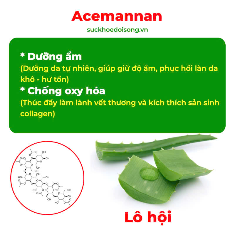 Thành phần tác dụng của lô hội