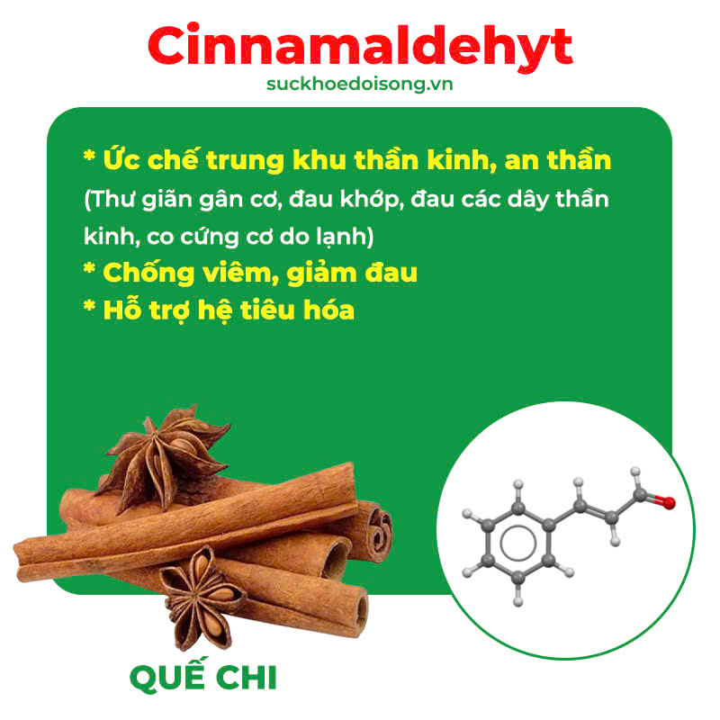 Thành phần của thư giãn gân cơ