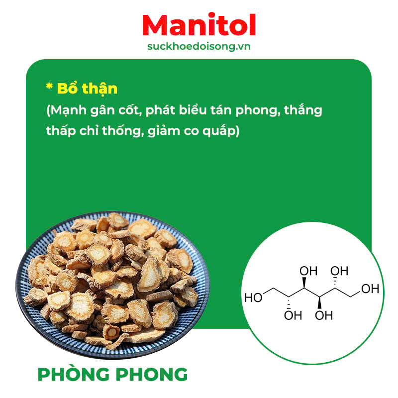 Thành phần của thư giãn gân cơ PQA 2