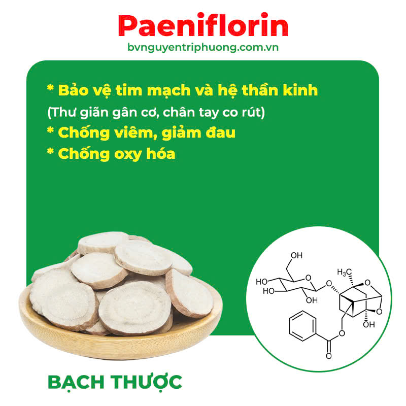 Thành phần của thư giãn gân cơ PQA 5