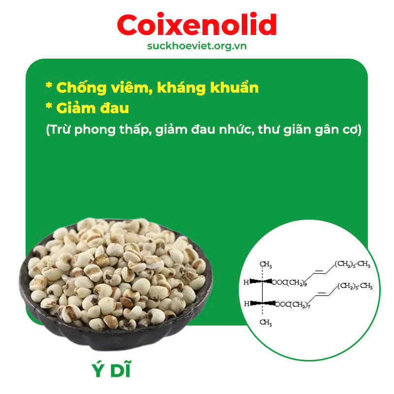 Thành phần của thư giãn gân cơ PQA 6
