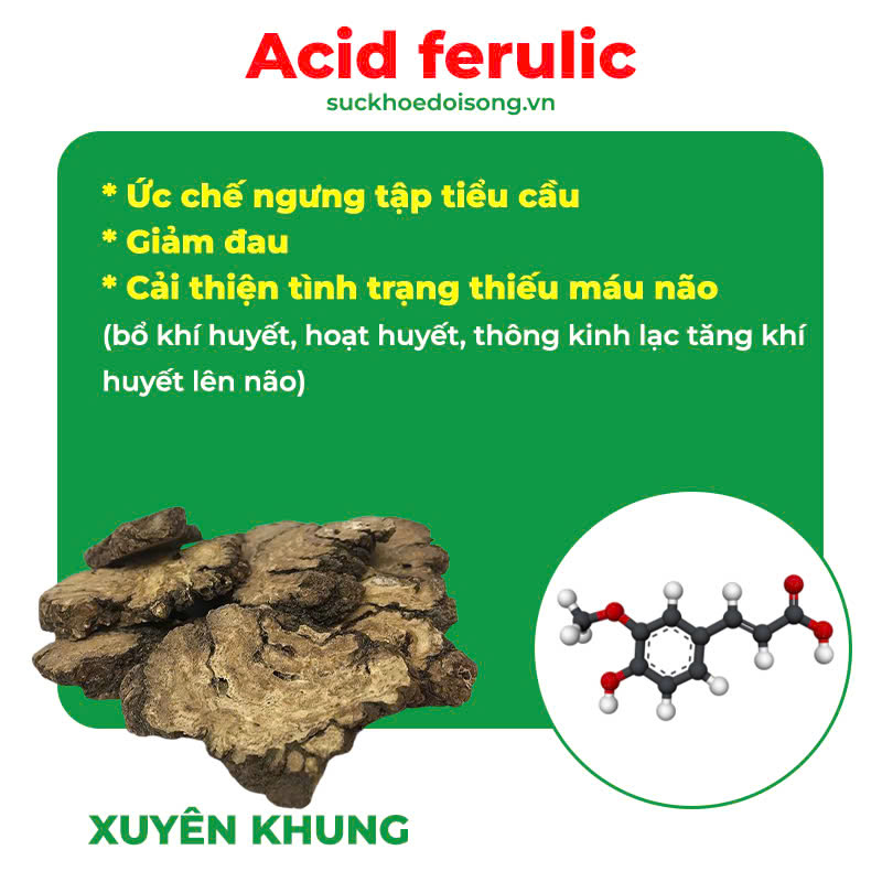 Thành phần của thư giãn gân cơ PQA 7