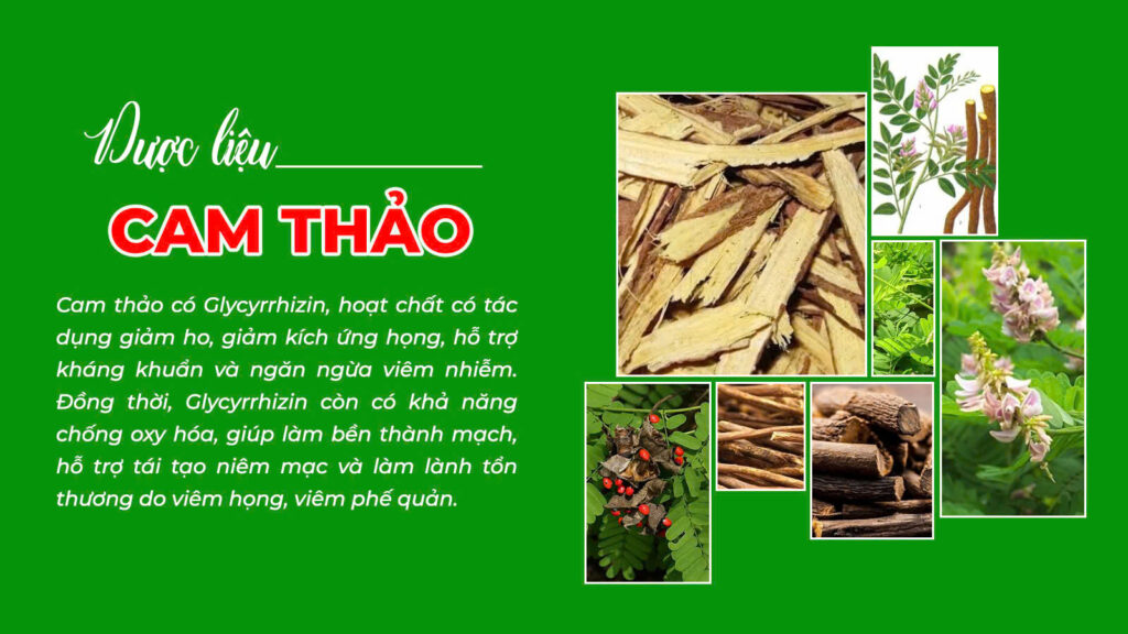 Thành phần viên nén phế quản