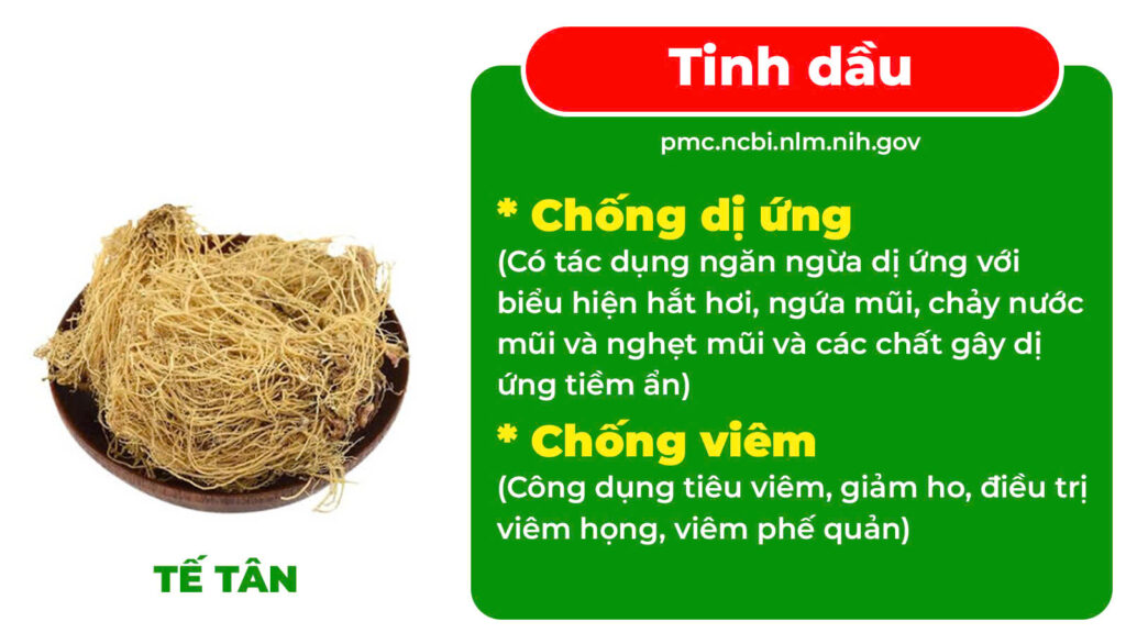 Thành phần viên nén phế quản 1