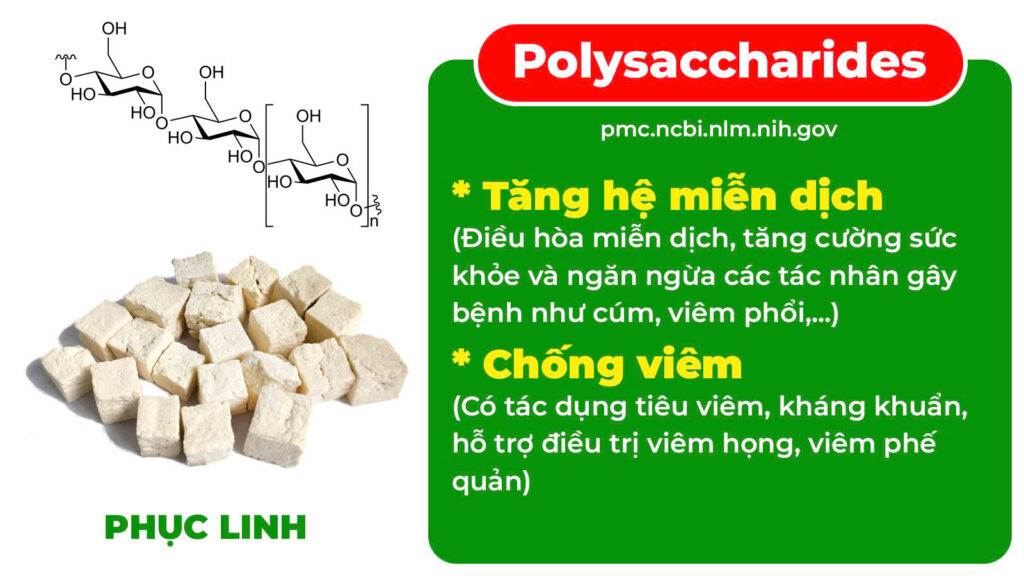 Thành phần viên nén phế quản 4