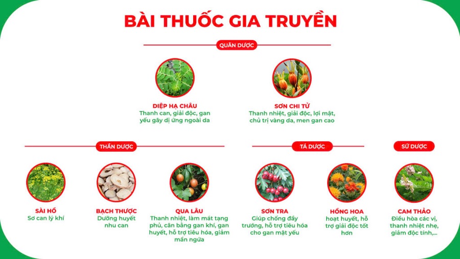 Bài thuốc viên bổ gan PQA