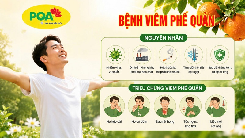 Nguyên nhân và triệu chứng viêm phế quản
