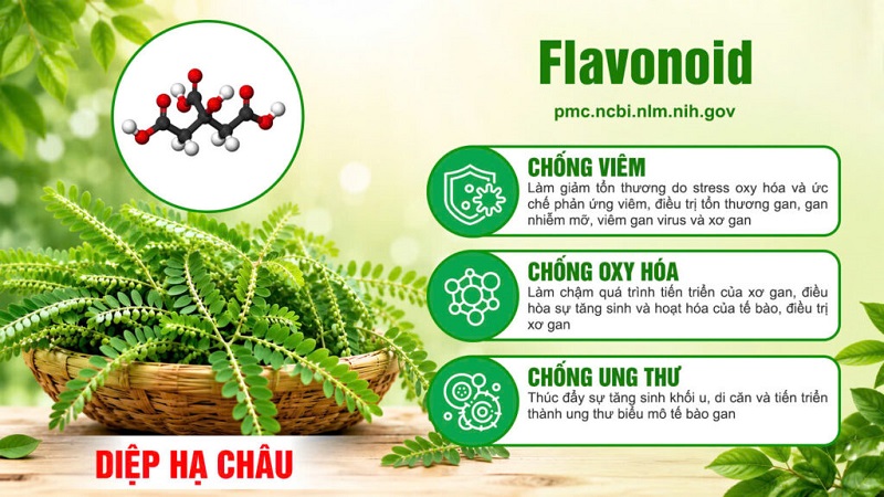 Thành phần viên bổ gan PQA 1