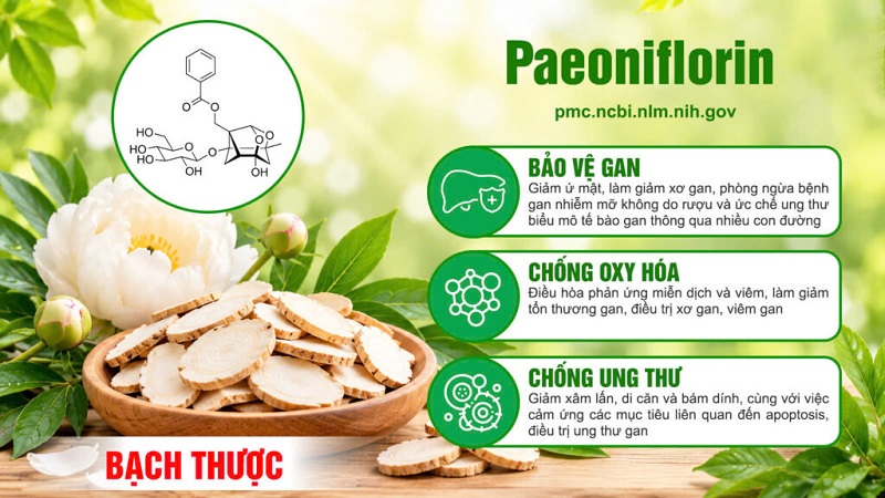 Thành phần viên bổ gan PQA 2