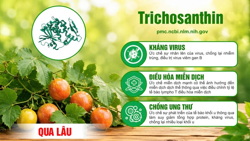 Thành phần viên bổ gan PQA 3
