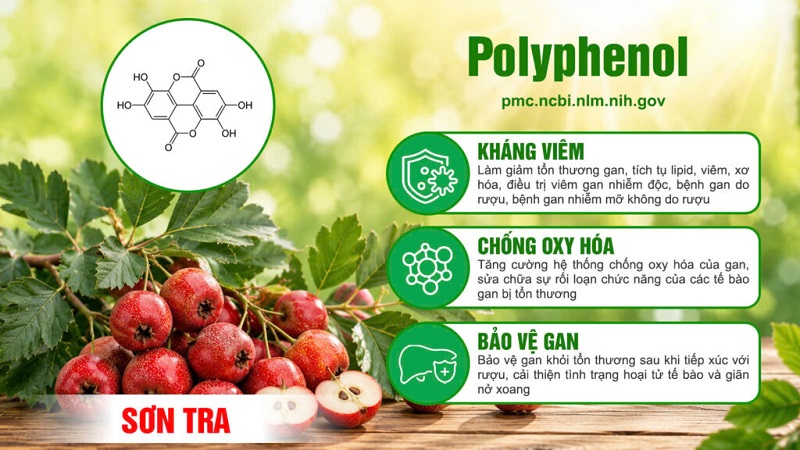 Thành phần viên bổ gan PQA 4
