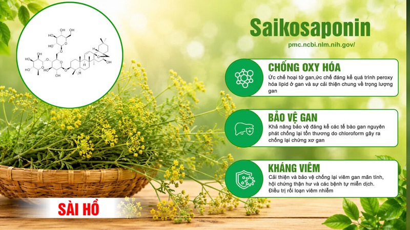 Thành phần viên bổ gan PQA 6