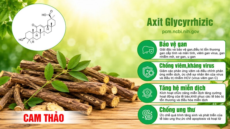 Thành phần viên bổ gan PQA 7
