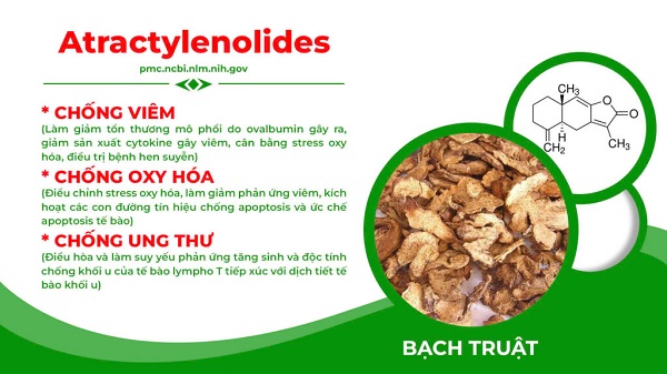 Thành phần Nonal bổ phế PQA