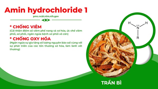 Thành phần Nonal bổ phế PQA