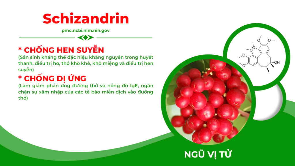 Thành phần Nonal bổ phế PQA 4
