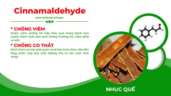Thành phần Nonal bổ phế PQA 5