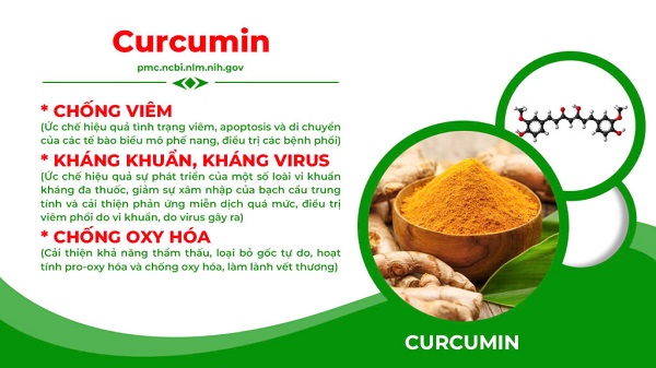 Thành phần Nonal bổ phế PQA 6