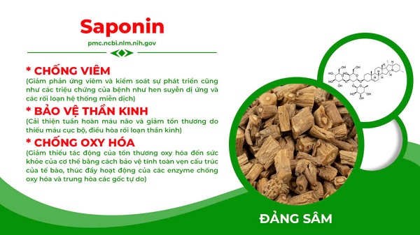 Thành phần Nonal bổ phế PQA 7