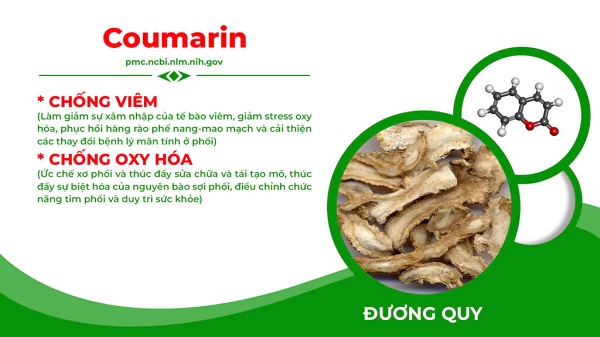 Thành phần Nonal bổ phế PQA 8