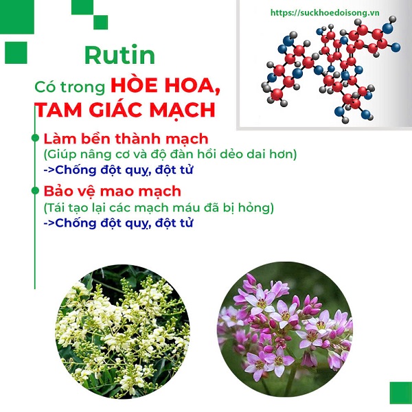 Thành phần của Trà bình an PQA