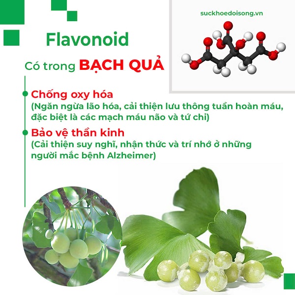 Thành phần của Trà bình an PQA 1