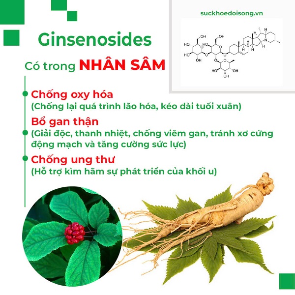 Thành phần của Trà bình an PQA 2