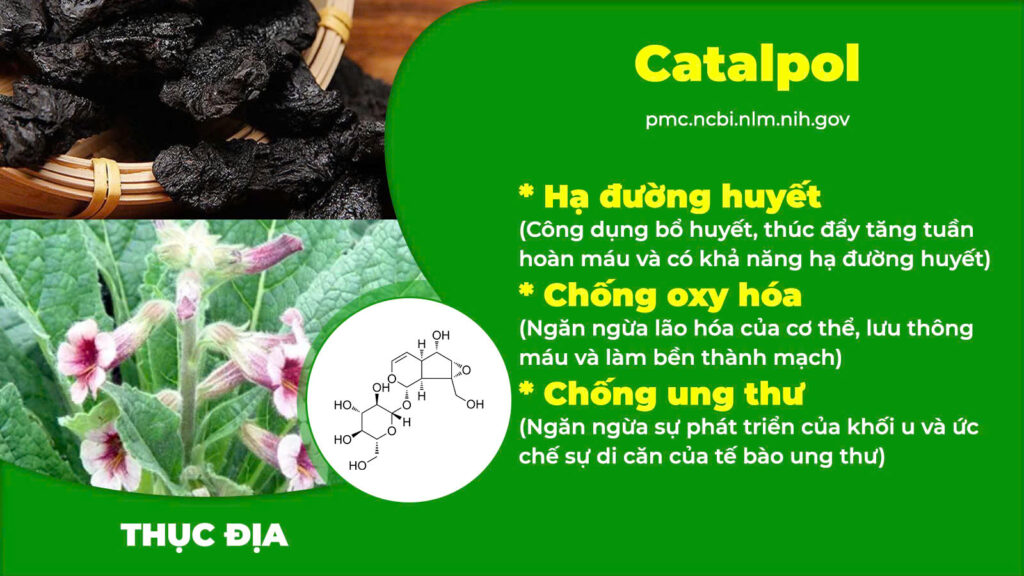 Thành phần PQA Thanh đường 1