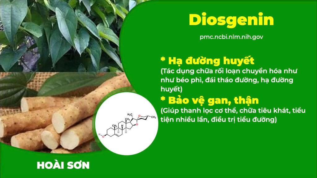 Thành phần PQA Thanh đường 2