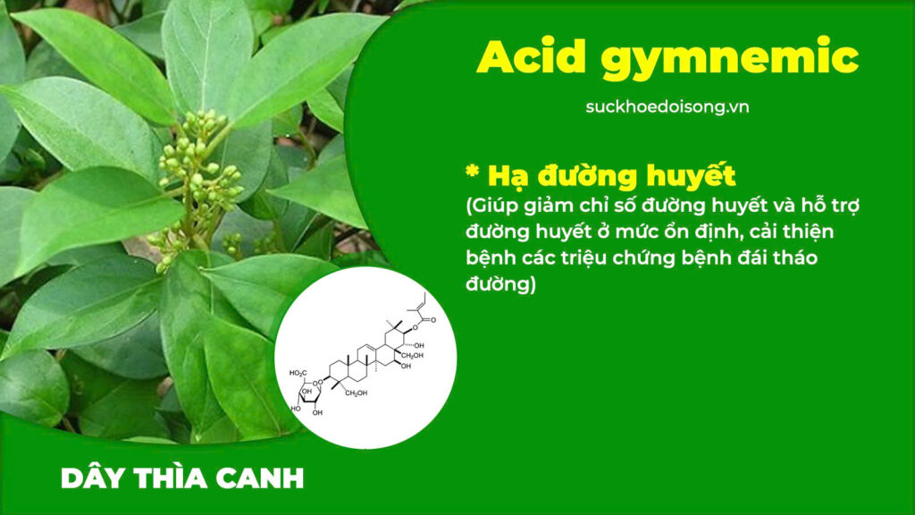 Thành phần PQA Thanh đường 4