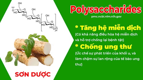Thành phần PQA Giải nhiệt 3