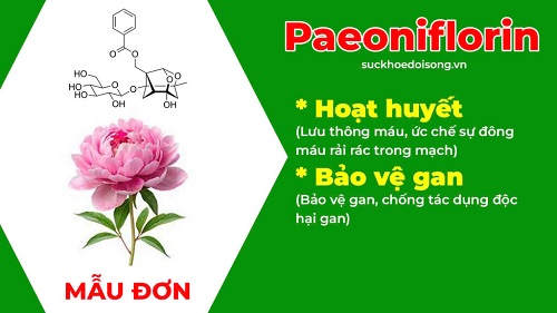 Thành phần PQA Giải nhiệt 4