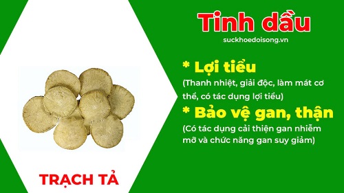 Thành phần PQA Giải nhiệt 5
